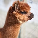 Jason Merryman - @m3rrymanus - Twitter