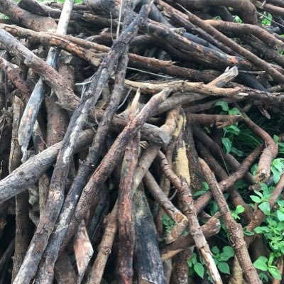 Hello my Christians friend’s and family all brothers and sisters I need help for food please 😭