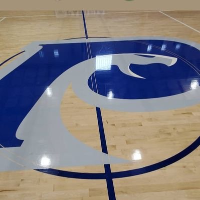This is the official social media site for The Paideia School Mens Basketball 🐍🏀