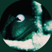 helen ☔︎︎ book twt (@lockandluce) 's Twitter Profile