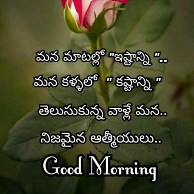 Saikira78687815's profile picture. never give up