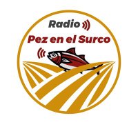 Pez en el surco(@PezSurco) 's Twitter Profile Photo