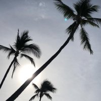 Gmaratzi (@bccdd) 's Twitter Profile