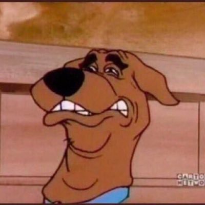 Buddy68903011's profile picture. Don’t mind me, I’m just a dog