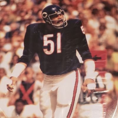 Chicago Bear Hall of Famer Home of the Butkus Award for Linebacker of the Year Home of the Butkus Foundation https://t.co/TcnX7LAtzH