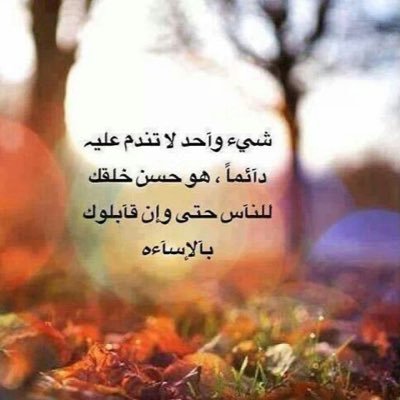 onah_amo's profile picture. 