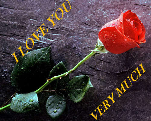 FunnysMs1's profile picture. GUYS MY NAME KHALIL ELECTRONICS ENGINEERS FROM DI KHAN PLEASE JOIN US TWITTWER EXPERTS FUNNYSMS1 ENJOY