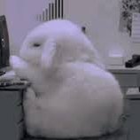 LindaMinding's profile picture. 