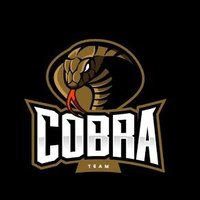 कोबरा गेंग(@Cobra_gang_) 's Twitter Profile Photo