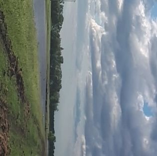 zhdx5519's profile picture. https://t.co/RgK03iJwcz
https://t.co/wt3mLozrB8