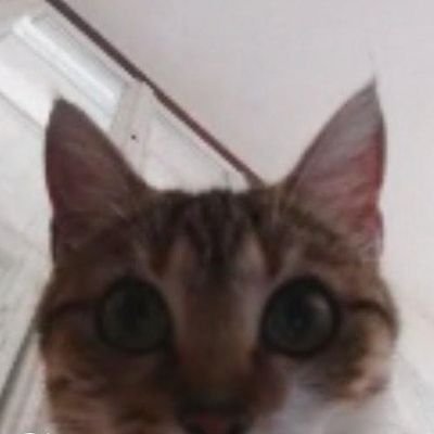 jsais pas cquest lplus douleur eux entre mes règles et mon ptsd