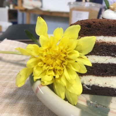 Opamp19's profile picture. let it go