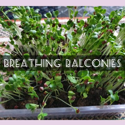 Hi! I'm Parul.
Organic Gardening Practioner

Follow me on 
Instagram - https://t.co/Zk2gMQSqa1
Youtube - Breathing Balconies