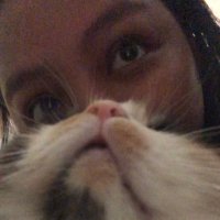 anggi (@pusparitchwary) 's Twitter Profile