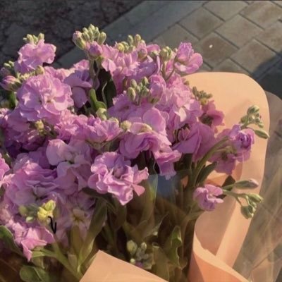 Albadiameera1's profile picture. اصنع لنفسك مجدا