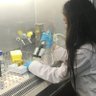 Fatima_G_V's profile picture. Doctor in Pharmacy - Assistant Professor
University  of Granada - University of the Basque Country

Educational content creator ✮🎧✮ @GALiveLessons (YouTube)