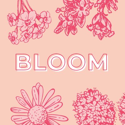 🌷A BNHA flower zine that is dedicated to flower languages across the globe🌷 Modded by: @marinaxstudios @_kairiichan @qtlovelymochi