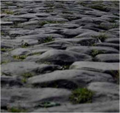 JDMeech's profile picture. 