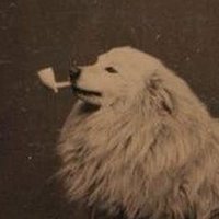 Mr Zgru (@dazgru) 's Twitter Profile Photo