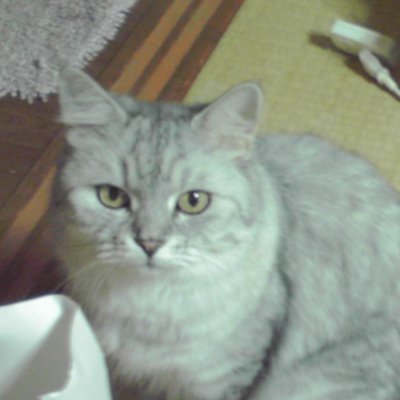 herny_mw's profile picture. へるにぃです。今の世の中健康は本当に大切。
元ハマっ子、現在は東京在住。