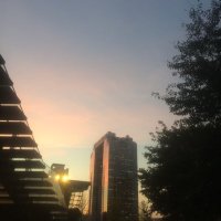 📖たぬき195@読書垢勉強垢 (@oc4xwu) 's Twitter Profile