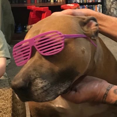 whateve55251303's profile picture. Yo