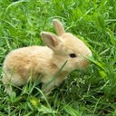 Alapati Srinivas - @AlapatiSrinivas - Twitter