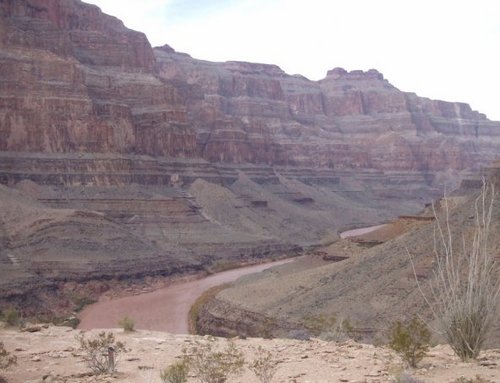 SpiderPigEire's profile picture. GAA, Golf, Soccer and any other sport.