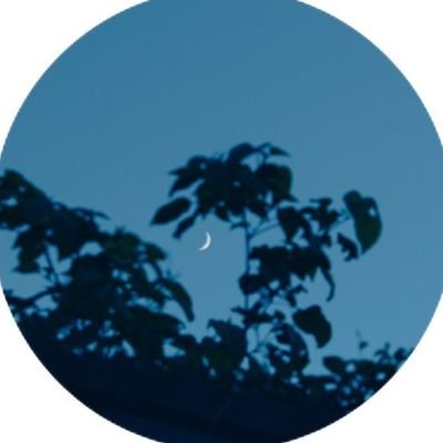 kitune_siroma's profile picture. 