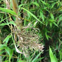 腰痛持ち技術者 (@kawasaki580) Twitter profile photo