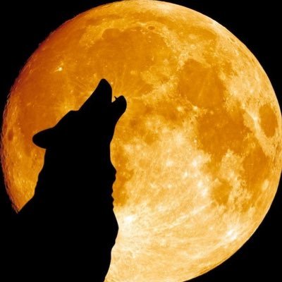 oneCostaS's profile picture. 