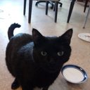 Anthony Bernstein - @AnthonyBernste7 - Twitter