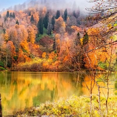 Pro4Fortnite's profile picture. 