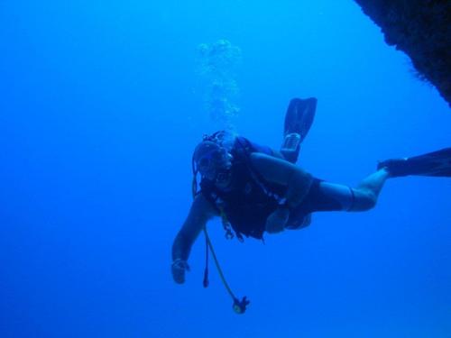 thebluchilli's profile picture. Sport loving - rugby, diving, golfing enthusiast - living on a tropical rock.