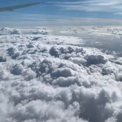 anamarca__'s profile picture. 