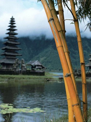 hihyunlee's profile picture. 도전을 현실이라 생각하는 총각 약인지 독인지 구별할줄 아는 총각 나를 의심할줄 아는 총각 분석적 사고를 지닌 총각 하지않고 있는일을 볼줄 아는 총각