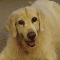 Ali-Pan (@alison_pannell) 's Twitter Profile Photo Ali-Pan (@alison_pannell) 's Twitter Profile Photo