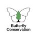 Sussex Butterfly Conservation (@BCSussex) Twitter profile photo