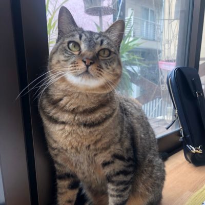 5371Kto's profile picture. 