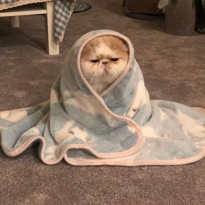 pipipipipew's profile picture. this queen dont need a king👑