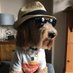Ed (@louisthepoo) Twitter profile photo Ed (@louisthepoo) Twitter profile photo
