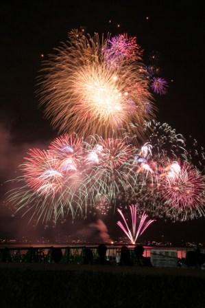 npoACFA's profile picture. 芦屋市内を活動拠点に　芦屋サマーカーニバルの開催をはじめ、数多くのまちづくり事業を行っています。市民と行政と企業のつながりづくりをテーマに活動している市民NPO団体です。