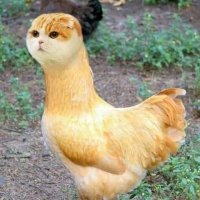 Teguh (@sutejolicious) 's Twitter Profile