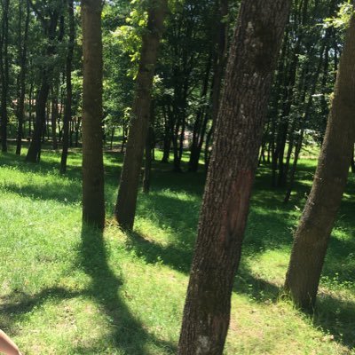 sabiha61285513's profile picture. Sabiha Hüseyinoğlu