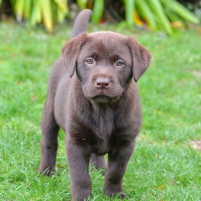anniebev6's profile picture. 