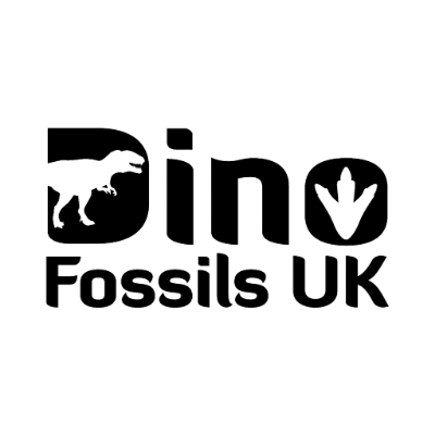 Online fossil store supplying private collectors, universities and museums with fossils since 2012.