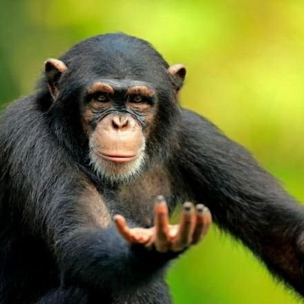 DudeIgotfood's profile picture. Ireland really is one of the countries ever