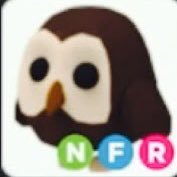 DM me to enter the giveaway for a NFR owl, if 50 people or more enter this giveaway i will do more in the near future