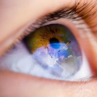 Open Your Eyes (@leftwingfem) 's Twitter Profile