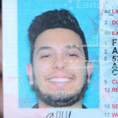 alexfiggmusic's profile picture. 